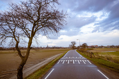 Pathway between tulip fields 