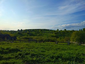 Scenic view of field against sky