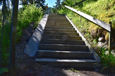View of stairs along trees