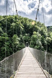 Footbridge amidst trees in forest against sky