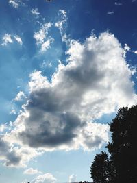 Low angle view of trees against blue sky