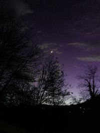 Low angle view of bare trees against sky at night