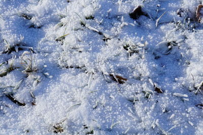 Full frame shot of snow