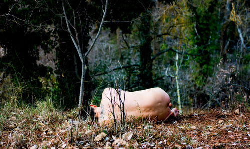 Naked man lying on field at forest