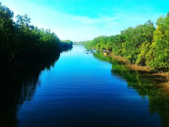 Scenic view of lake in forest against blue sky