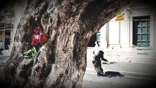 Rear view of people by tree against building