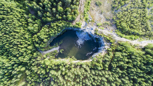 High angle view of trees