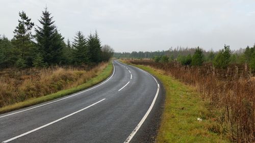 Empty road along trees