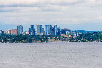 A view of skyscrapers of the bellevue, washington skyline.