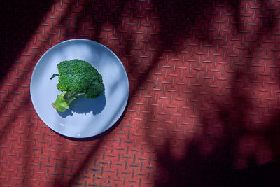 Close-up of food on table