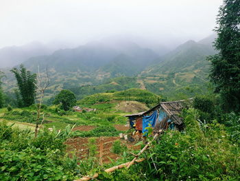 Scenic view of landscape and mountains