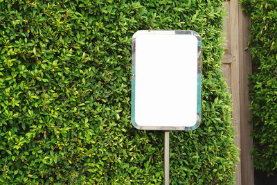 Open sign on green plant