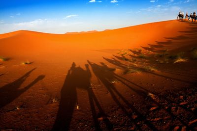 Shadow on sand at sahara desert