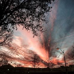 Silhouette of tree against dramatic sky