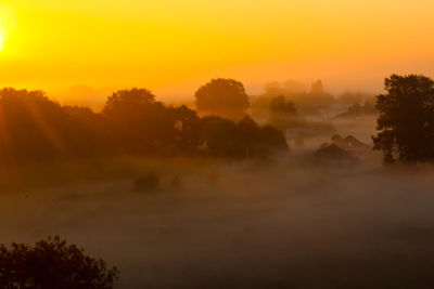 Scenic view of silhouette trees against orange sky