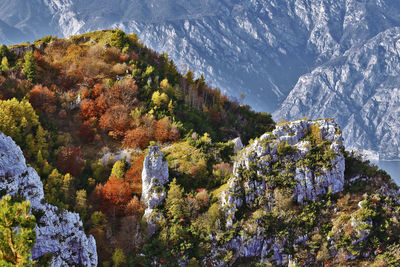 Ventrar hiking trail and autumn foliage on garda lake, trentino, italy