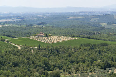 High angle view of trees on landscape