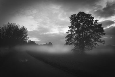 Trees on landscape against sky