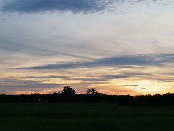 Silhouette trees on field against sky during sunset