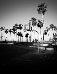 Palm trees on beach against sky