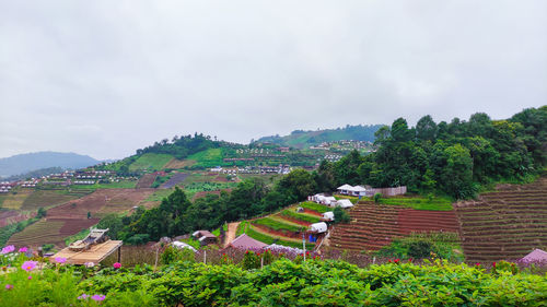 Panoramic view of trees and buildings against sky