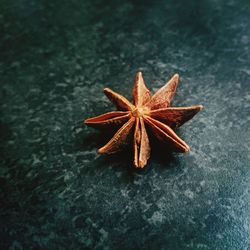 Close-up of star anise on marble table