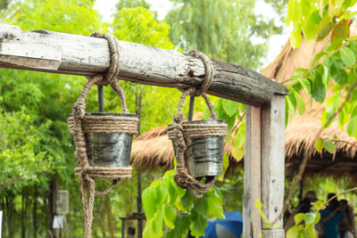 Close-up of clothes hanging on tree trunk