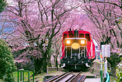 Train on railroad track