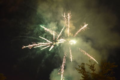 View of trees at night