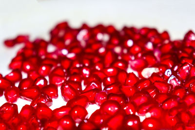 Close-up of red berries against white background