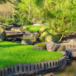 View of formal garden in park