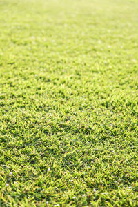 Full frame shot of green field