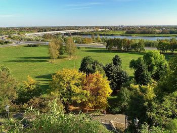 High angle view of trees on field against sky