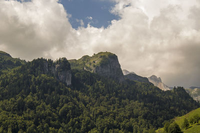 Panoramic view of trees on mountain against sky