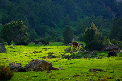 Cows grazing on landscape against trees