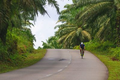 Rear view of man walking on road along trees