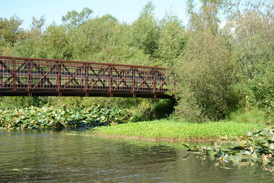 Bridge over river