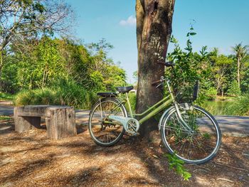 Bicycle parked by tree against sky