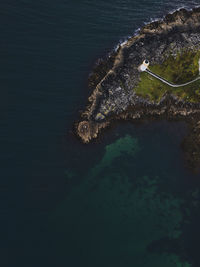 High angle view of plant on beach