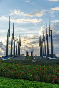 Plants growing on field against sky during sunset