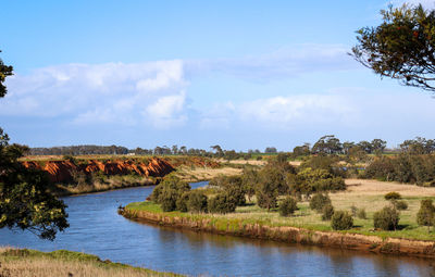 Scenic view of river amidst trees against sky