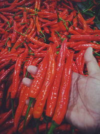 High angle view of red chili peppers for sale in market