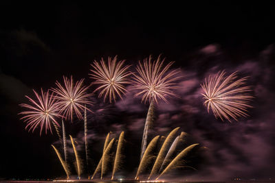 Firework display at night