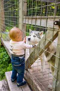 Boy standing by fence