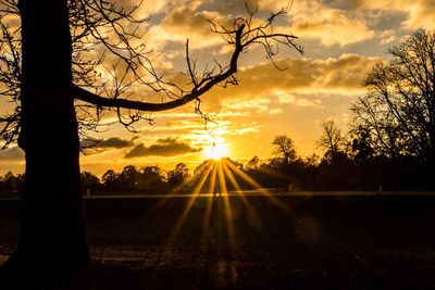 Scenic view of sunset