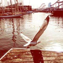 View of pier in sea