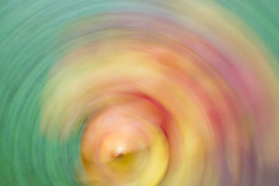 Full frame shot of multi colored