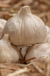 Close-up of garlic on table