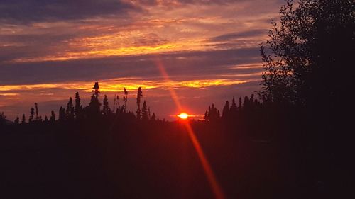 Silhouette trees against sky during sunset