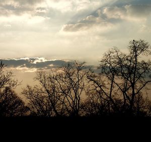 Bare trees on landscape at sunset